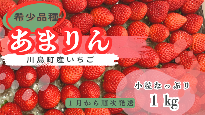 ※先行受付【希少あまりん】朝採れ！いちごあまりん１kg どらちゃん農園　人気 あまりん 小粒たっぷり 希少国産 埼玉県 川島町産 完熟いちご 期間限定