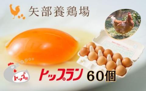 【矢部養鶏場のたまご】こだわりのブランドたまご　トップラン60個（10個パック×6）お取り寄せ 新鮮 ニワトリ 鶏 卵 たまご 玉子 タマゴ 卵かけご飯 TKG 人気 おすすめ 矢部養鶏場 川島町