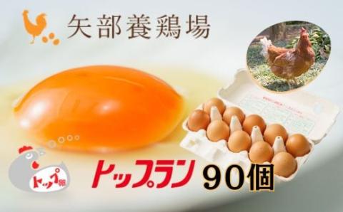 【矢部養鶏場のたまご】こだわりのブランドたまご　トップラン90個（10個パック×9）お取り寄せ 新鮮 ニワトリ 鶏 卵 たまご 玉子 タマゴ 卵かけご飯 TKG 人気 おすすめ 矢部養鶏場 川島町 埼