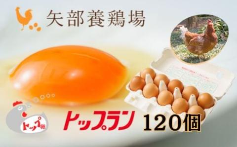 【矢部養鶏場のたまご】こだわりのブランドたまご　トップラン120個（10個パック×12）お取り寄せ 新鮮 ニワトリ 鶏 卵 たまご 玉子 タマゴ 卵かけご飯 TKG 人気 おすすめ 矢部養鶏場 川島町