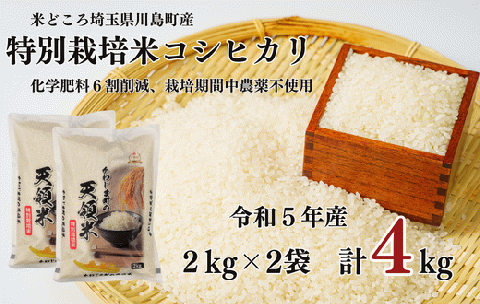 6回定期便】 長崎県産 精米 にこまる 5kg 総計 30kg / 米 南島原市