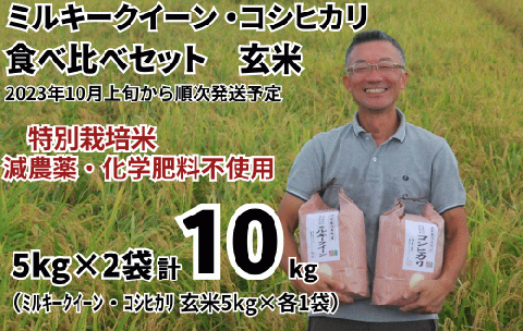 特別栽培米 ミルキークイーン 玄米 5kg & コシヒカリ 玄米 5kg 食べ比べセット(5kg×2袋) 計10kg[2023年10月上旬頃から順次発送予定] 令和5年産 2023年産 食べ比べ