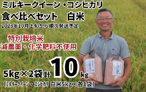 特別栽培米 ミルキークイーン 白米 5kg & コシヒカリ 白米 5kg 食べ比べセット(5kg×2袋) 計10kg [2023年10月上旬頃から順次発送予定] 令和5年産 2023年産 食べ比