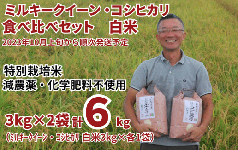 特別栽培米 ミルキークイーン 白米 3kg & コシヒカリ 白米 3kg 食べ比べセット(3kg×2袋) [2023年10月上旬頃から順次発送予定] 令和5年産 2023年産 食べ比べ 小分け