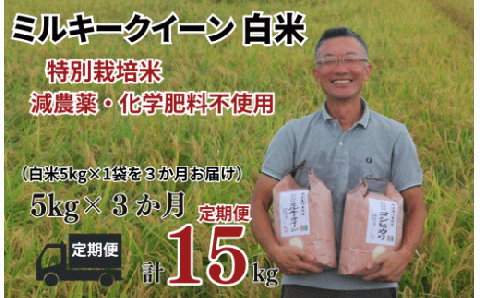 [ミルキークイーン 定期便 白米 5kg?3か月連続 松原グリーンファーム] 特別栽培米 ミルキークイーン 白米 5kg (5kg×1袋) 3か月 合計 15kg 令和5年産 2023年産 小分け