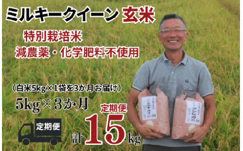 [ミルキークイーン 定期便 玄米 5kg?3か月連続 松原グリーンファーム] 特別栽培米 ミルキークイーン 玄米 5kg (5kg×1袋) 3か月 合計 15kg 令和5年産 2023年産 小分け