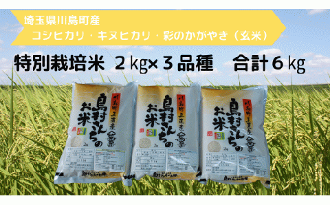 [特別栽培米(玄米)]島村さんちの特別栽培米 3種類食べ比べセット(コシヒカリ・キヌヒカリ・彩のかがやき 各2kg 合計6kg) 減農薬 減化学肥料 玄米 埼玉県認証