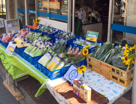 旬の野菜セット｜新鮮 産直 農家 直送 野菜 埼玉 杉戸 [0206]