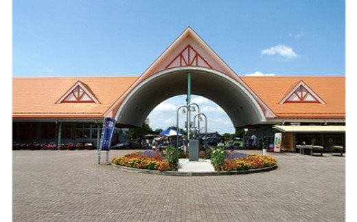 農園収穫体験チケット (お土産にお米1kg付き)｜農業体験 農作業 野菜 米 [0627]