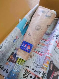 高成園 季節の切り花 シャクヤク【2024年4月下旬以降配送】芍薬 ピオニー 産地直送 切花 生花 フラワー [0157]