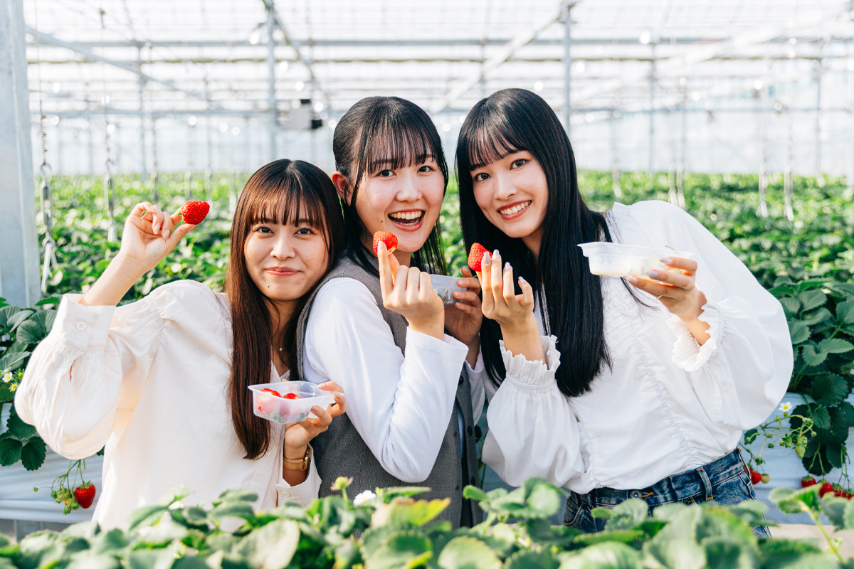 冷凍いちご《あまりん》1kg×2個｜埼玉 オリジナル 品種 糖度 高い 甘い 高級 イチゴ SugarBerry すぎと [0685]