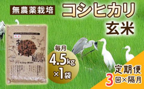 定期便] (隔月×3回お届け) 無農薬栽培 コシヒカリ 玄米 4.5kg 【令和5