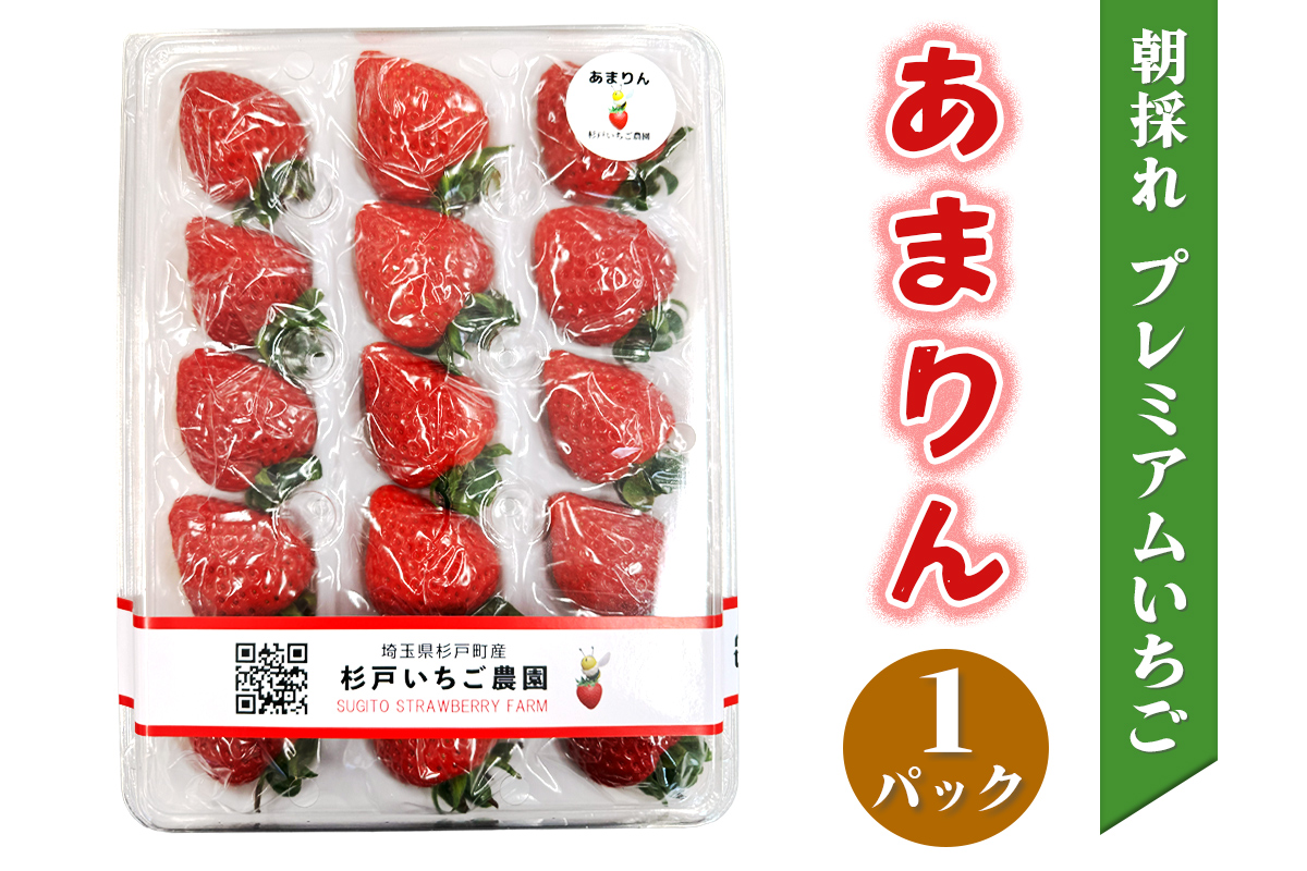 [先行予約]《あまりん》朝採れ プレミアムいちご 1パック｜埼玉 オリジナル 品種 糖度 高い 甘い 高級 イチゴ SugarBerry すぎと [0681]