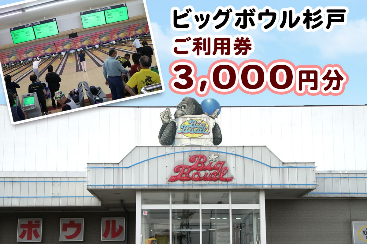 ビッグボウル杉戸 ご利用券 3千円分｜ボーリング アクティブ スポーツ 遊び 東武動物公園駅 杉戸 埼玉 [0695]