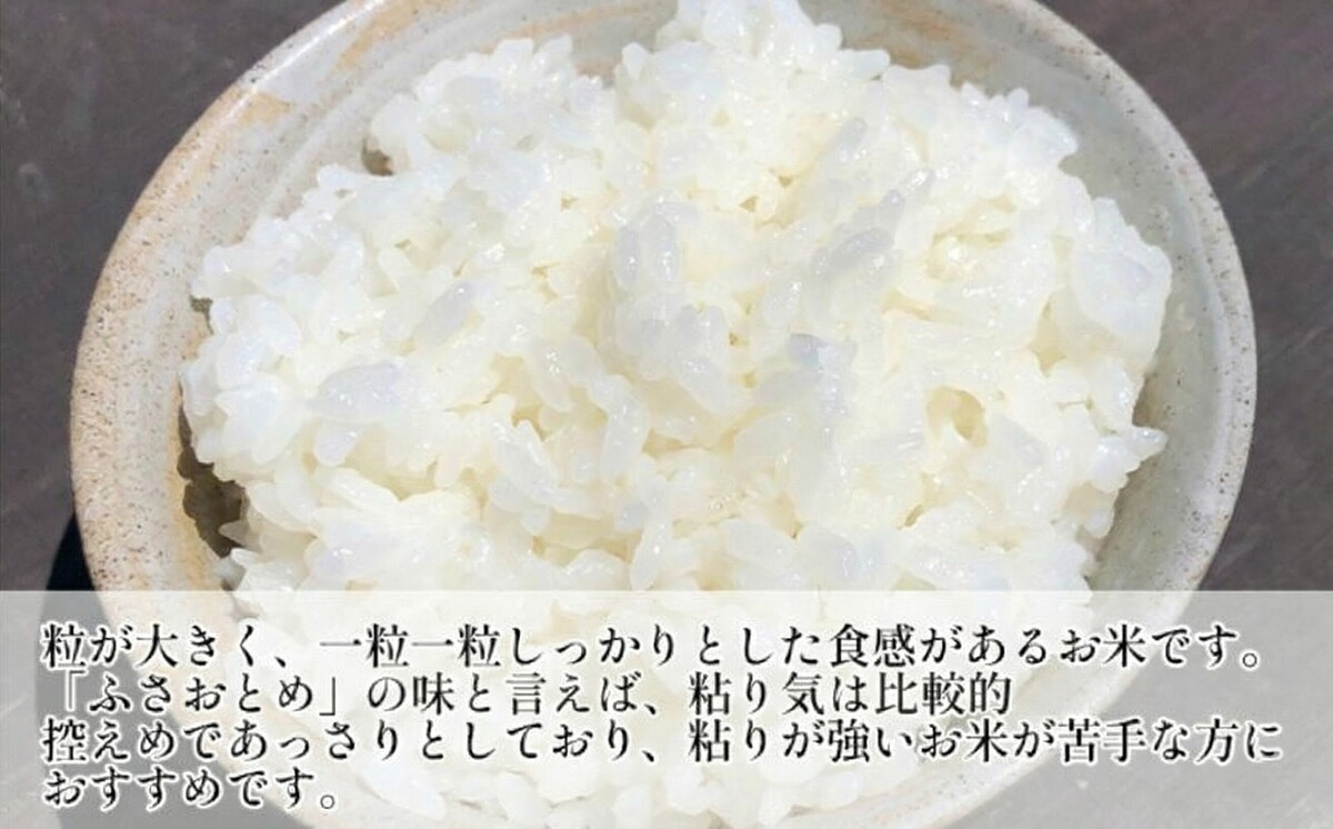 米 令和7年 ふさおとめ 2kg  千葉産 乾式 無洗米　【 お米 こめ コメ おこめ 】