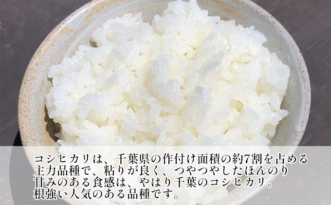 千葉産　令和7年コシヒカリ　玄米30kg【 お米 粘りつやつや 甘み】 ほんのり甘み 食感 新鮮