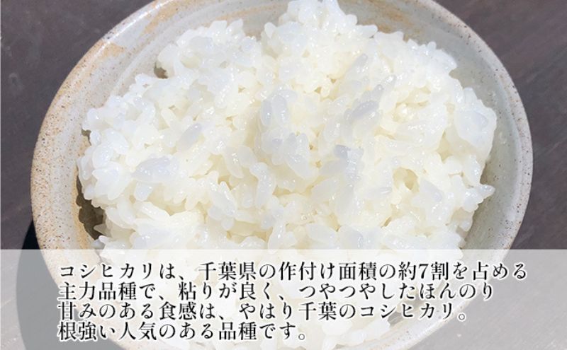 【定期4ヶ月】新米 コシヒカリ 乾式無洗米 10kg（5kg×2）令和7年産 お米 銘柄米 ご飯 おにぎり お弁当 和食 食卓 精米 国産 千葉県産 産地直送