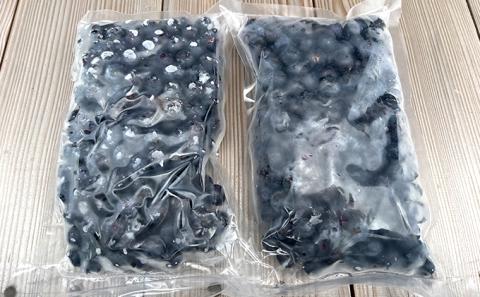 冷凍こだわりブルーベリー　500g×2【フルーツ  冷凍 1kg 千ブランド 】