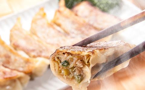 YAMATOぎょうざ　柚子　50個入り【 加工品 惣菜 冷凍 中華 点心 ギョーザ 餃子 ゆず 柚子 あっさり 夕飯 おかず つまみ 】