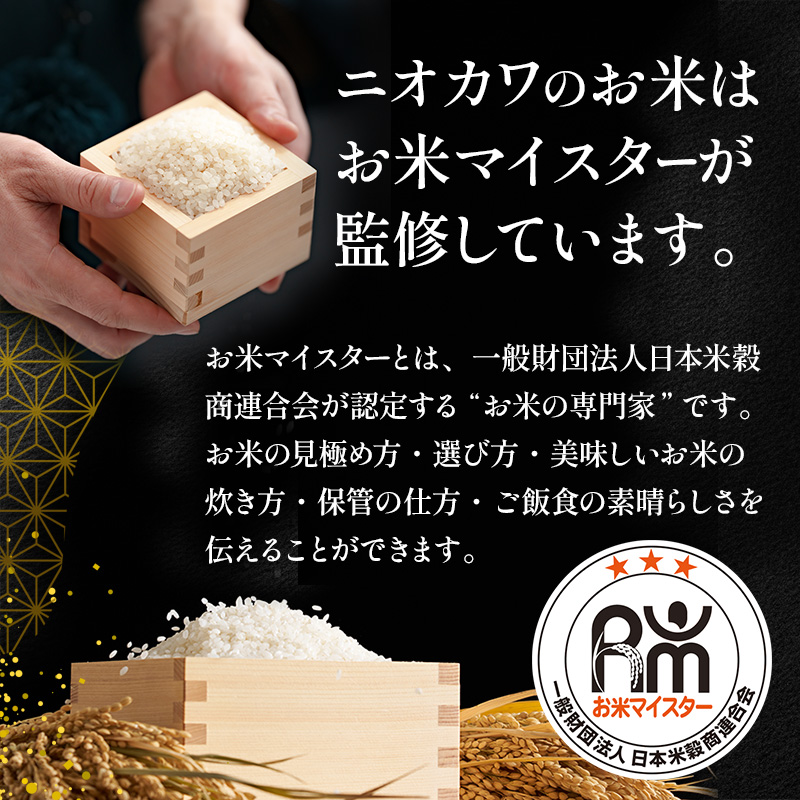 【定期2ヶ月】新米 コシヒカリ 乾式無洗米 5kg 令和7年産 お米 銘柄米 ご飯 おにぎり お弁当 和食 食卓 精米 国産 千葉県産 産地直送