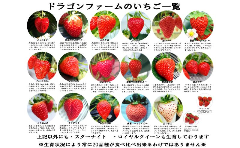 いちご狩り3名用チケット