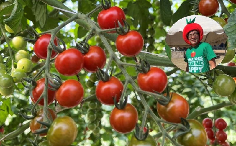 てっちゃんの完熟ミニトマト3kg採れたて農園直送