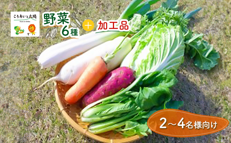 2～4名様向け／野菜6種に加工品をプラス