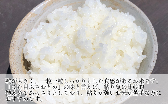 新米　令和7年 ふさおとめ　乾式無洗米　10kg（5kg×2）【 お米 精米 大粒 粘り気 ファン 】 千葉県