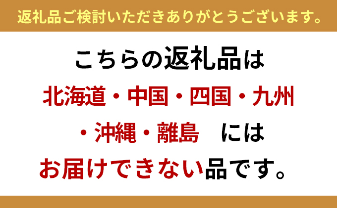 栽培期間中農薬不使用　完熟ブルーベリー　500g【果物詰合せ フルーツ 千葉県 千葉市 ブルーベリー 】