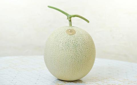 千葉快晴メロン　【千ブランド】【 果物類 メロン 青肉 スイーツ 果物 快晴メロン 認定 】