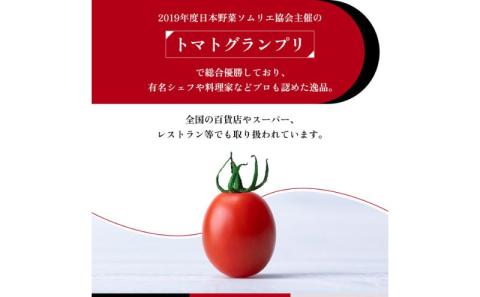 OSMIC トマト トマトグランプリ優勝 mini Premium 1kg ミニトマト　【トマト ミニトマト 野菜 千ブランド】