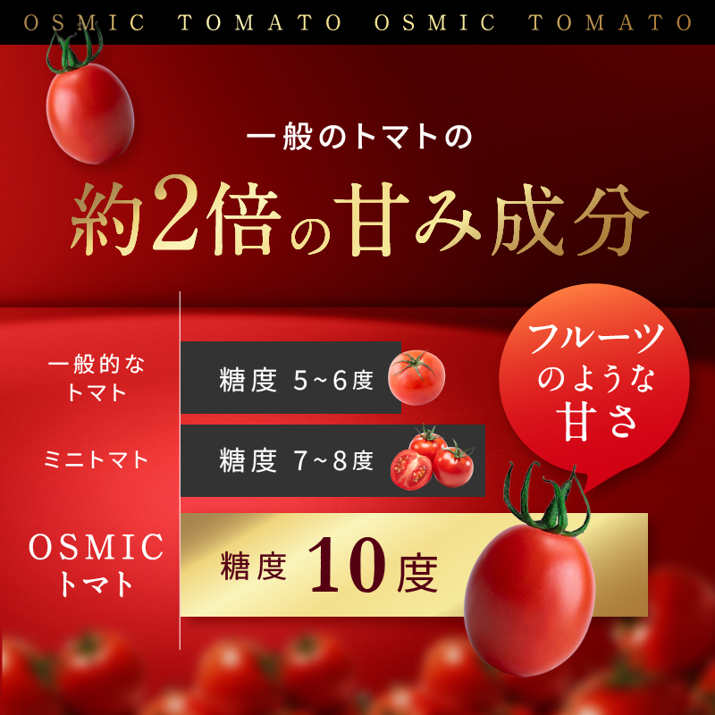 OSMIC トマト トマトグランプリ優勝 mini Premium 1kg ミニトマト　【トマト ミニトマト 野菜 千ブランド】