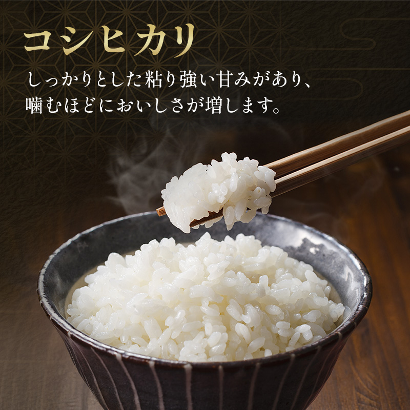 【定期2ヶ月】新米 コシヒカリ 乾式無洗米 5kg 令和7年産 お米 銘柄米 ご飯 おにぎり お弁当 和食 食卓 精米 国産 千葉県産 産地直送