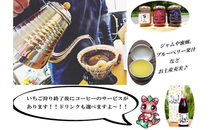 いちご狩り3名用チケット