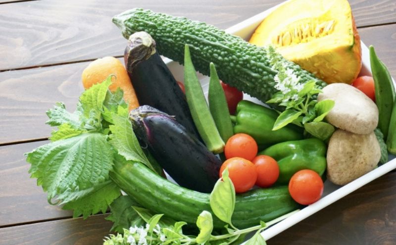 1名様向け／野菜5種セット