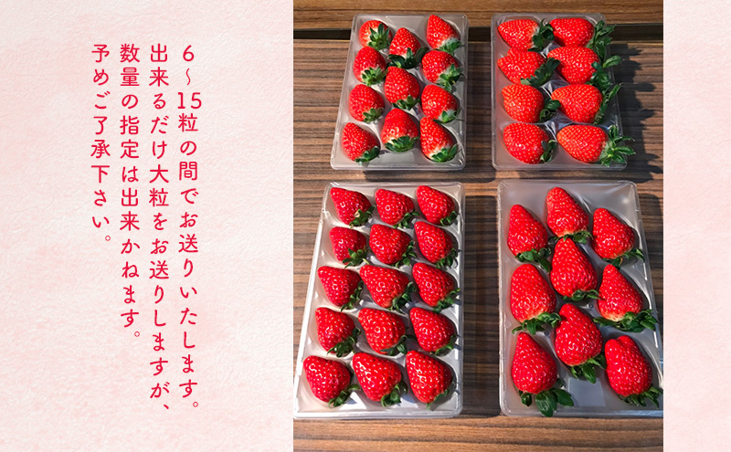 新鮮採れたて　いちご　４パックセット