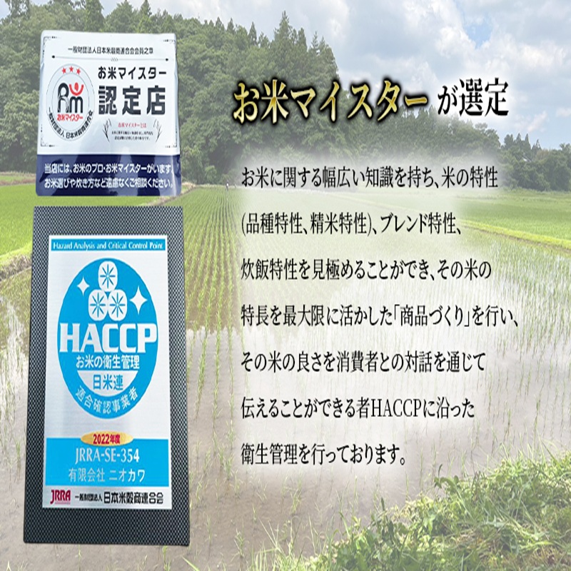 千葉産 コシヒカリ 白米 2kg　【 お米 コシヒカリ 米 白米 2kg