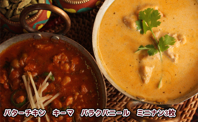 印度料理シタール 3カレーセット【カレー 詰め合わせ 加工食品 レトルト食品 惣菜 レトルト 簡単調理 】