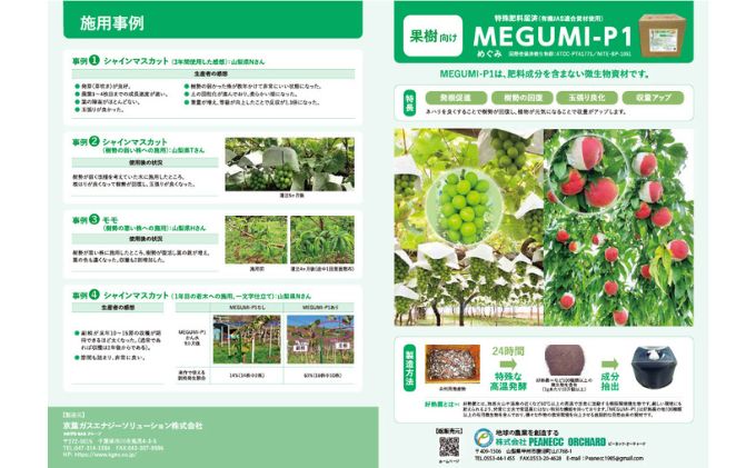 メグミ1L【 土着菌 微生物 活性化 回復 玉張り 収量アップ 自然栽培 有機栽培 土壌改良 家庭菜園 植物 栄養 】