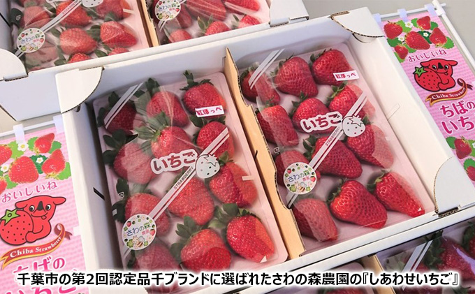 さわの森農園　しあわせいちご（紅ほっぺ）2シート詰め合わせ（4パック相当）【千ブランド イチゴ 苺 おやつ 果物】
