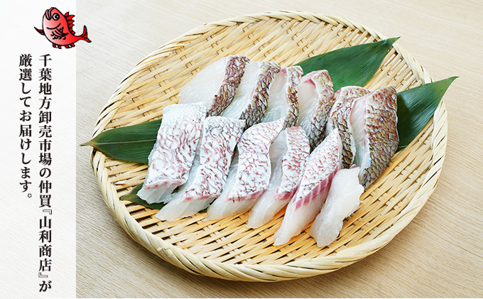 千葉市場直送　朝一活〆！マダイ1尾分（皮付ロイン・スキンレスロイン）