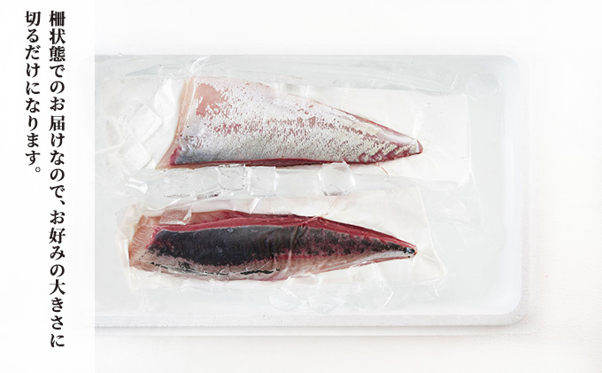 千葉市場直送　朝一活〆！ブリ半身分（スキンレスロイン）