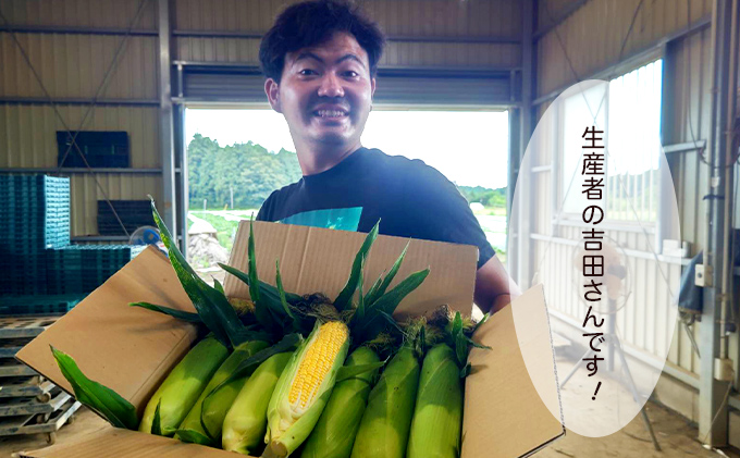 【期間限定】三ツ星コーン【千ブランド】