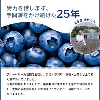 冷凍こだわりブルーベリー　500g×2【フルーツ  冷凍 1kg 千ブランド 】