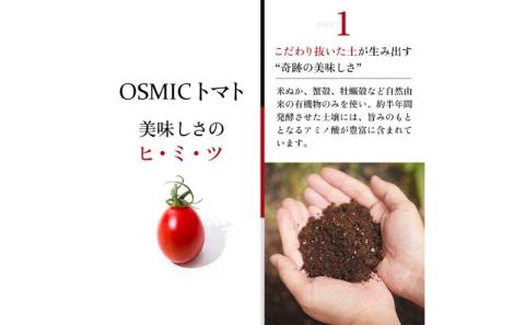 OSMIC トマト トマトグランプリ優勝 mini Premium 1kg ミニトマト　【トマト ミニトマト 野菜 千ブランド】