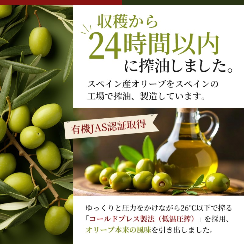 オリーブオイル 成城石井 有機 エクストラバージンオリーブオイル 鮮度ボトル 340g × 3本 食用油 　【 オイル 油 鮮度 】