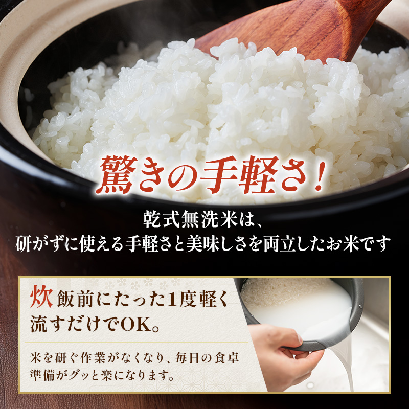 新米 令和7年 無洗米 コシヒカリ 5kg 令和7年産 米 お米 精米 白米 単一原料米 ブランド米 早場米 こめ コメ おこめ ご飯 ごはん 5キロ 送料無料 お米マイスター 選定 千葉産 千葉 千葉県 千葉市