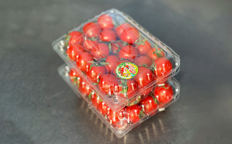 てっちゃんの完熟ミニトマト2kg採れたて農園直送