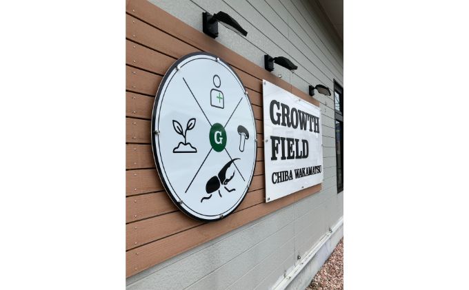 ヘラクレスオオカブト成虫メス単品（♀サイズフリー）【 生き物 昆虫 男の子 子供 飼育観察 自由研究 自然 環境 学習 孫 プレゼント 学び 】