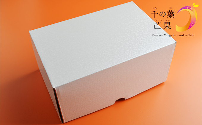【千の葉ライチ】完熟アップルマンゴーL×2果入 （先行予約）【マンゴー フルーツ 高級果実 国内】